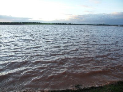 Laguna formada por el desbordamiento del río Azuer