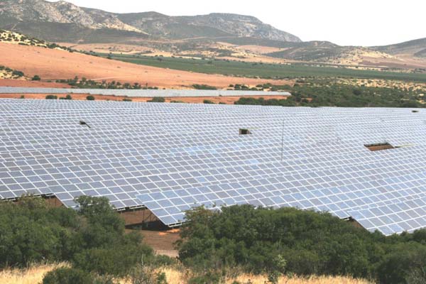 Paneles solares de Renovalia, en Puertollano