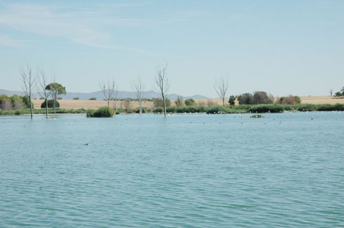 Laguna de Navaseca