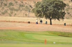 Ecologistas en Acción exige el cierre inmediato del campo de golf de Torrenueva