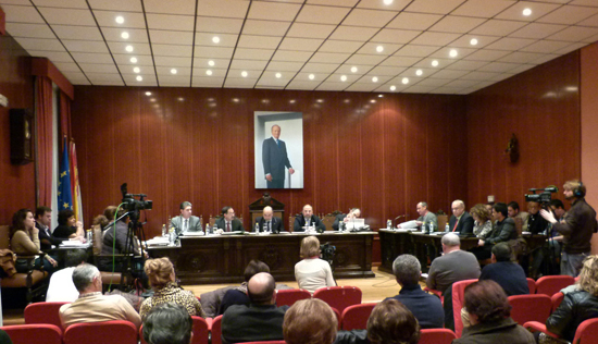 Pleno Manzanares