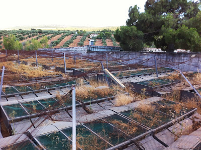 spainfreefarm05