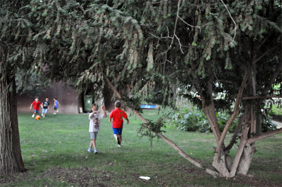 Niños jugando bajo un tejo en el Parque de Gasset