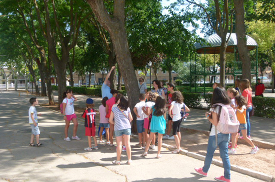 manzanares_arboles-y-pajaros