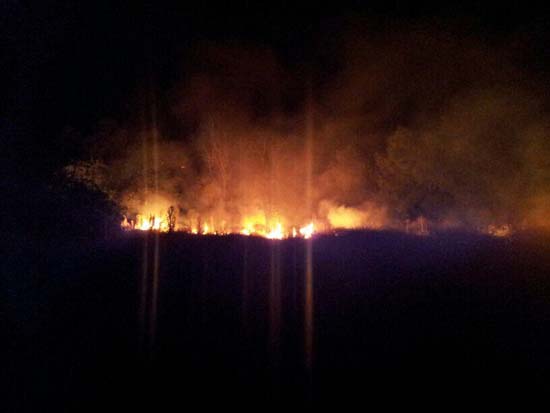 incendioasdrubal