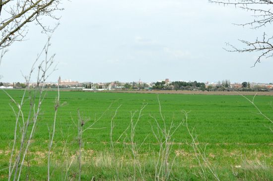 Vista general de la zona de donde provendría el olor