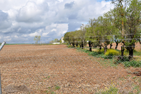 Finca de la calle Rusia de la que procedía el hedor