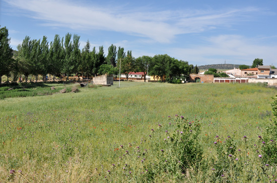 Al fondo, la pista municipal 