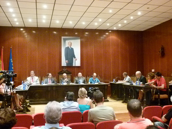 pleno-manzanares