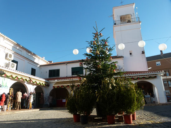 manzanares-en-plaza-navidad