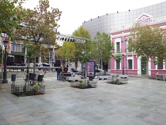 La Plaza de la Constitución alberga algunos plataneros