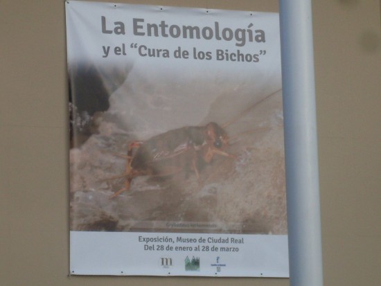 Exposición “La Entomología y ‘el cura de los bichos”