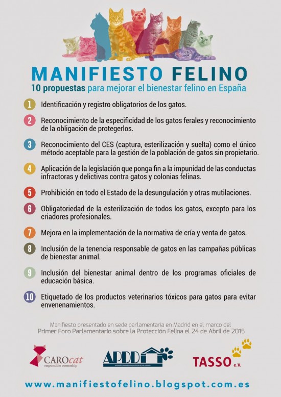 foro-felino-04