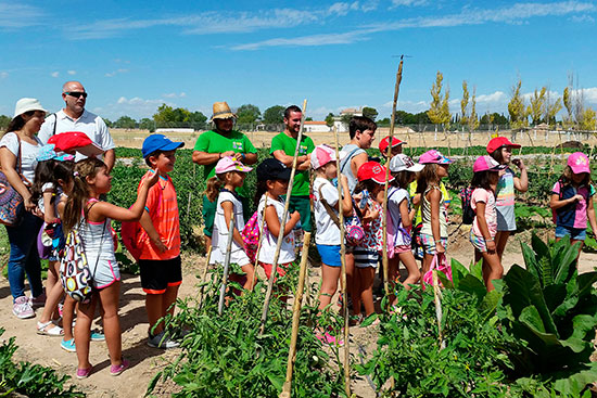 alba-escuela-de-verano