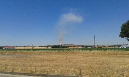 incendio cabeza del palo 2