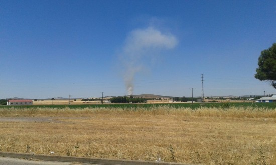 incendio cabeza del palo 2