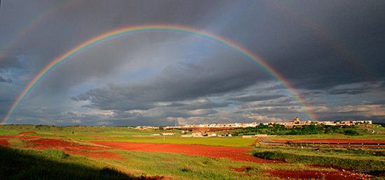 almedina