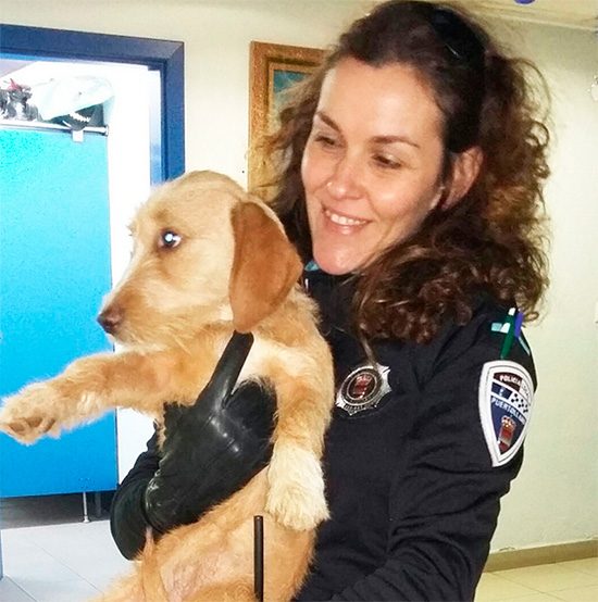 policia-puertollano-animales