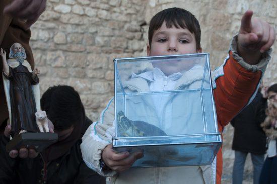 Bendición de animales de San Antón - 0