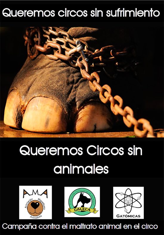 circo-sin-animales-miguelturra