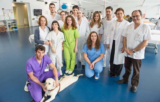 Alumnos de la Escuela de Fisioterapia de la ONCE realizan prácticas en el Hospital Nacional de Parapléjicos (Foto: Carlos Monroy)