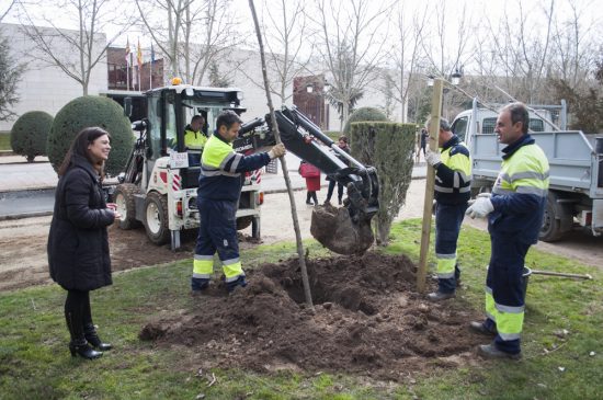 Presentación inversiones en jardines 5