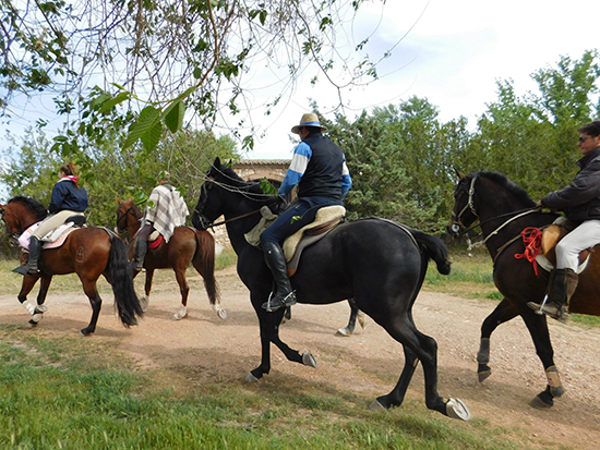 ruta-molinos-harineros