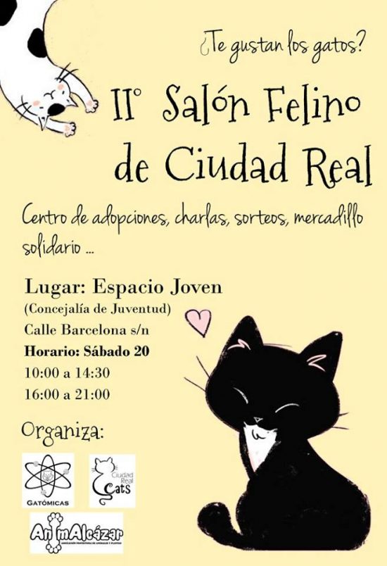 ii salon felino