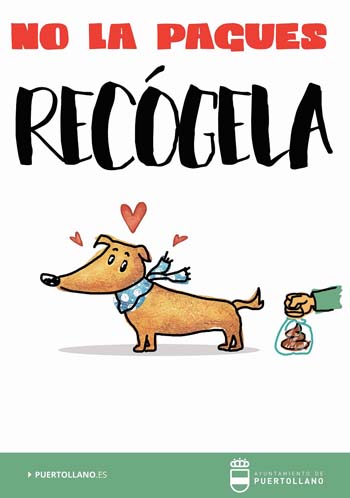 mascotas