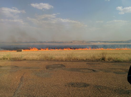 incendio cabeza del palo 1