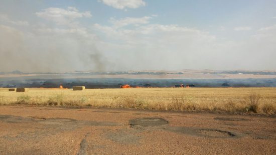 incendio cabeza del palo 2