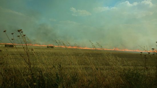 incendio cabeza del palo 3