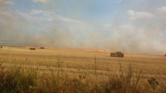 incendio cabeza del palo 4