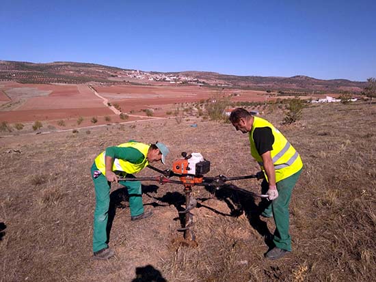 TERRINCHES_Plantación Paraje San Isidro c