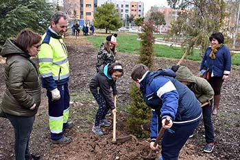 arbol