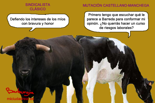 Mutación sindical