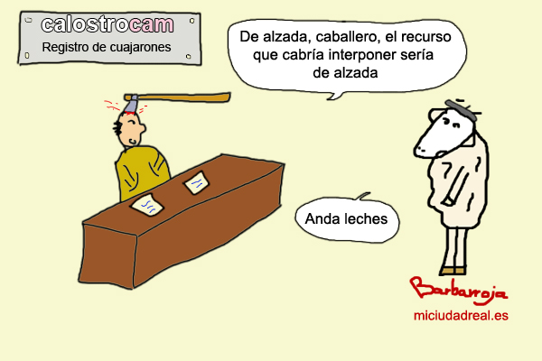 Recurso de alzada