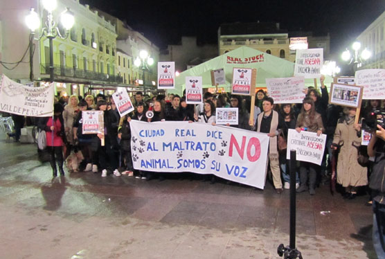 Concentración contra el maltrato animal