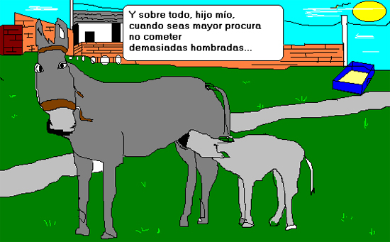 burrada