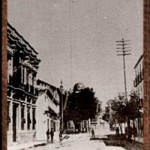 ciruela