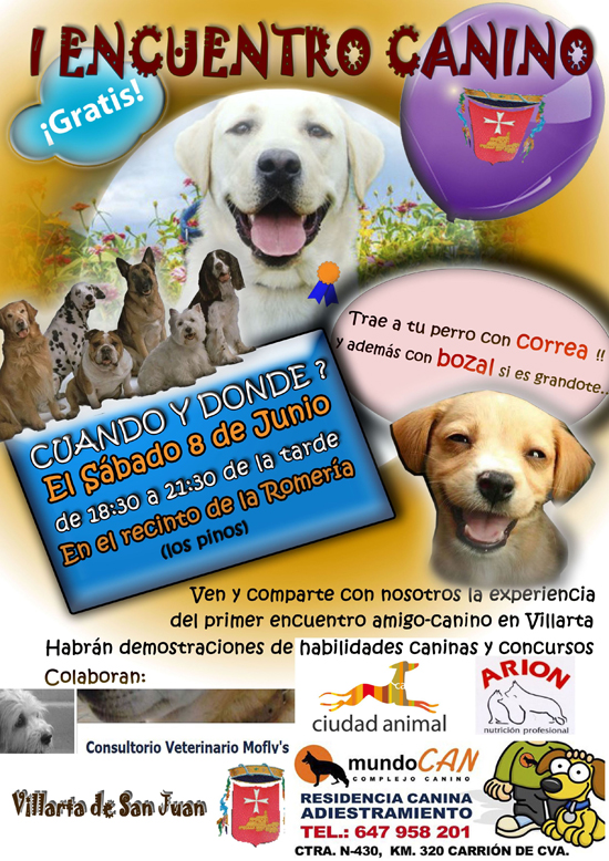 villarta-encuentro-canino
