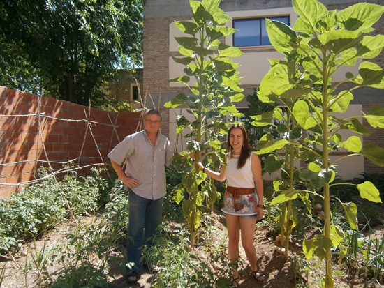 manzanares_huertoescolar