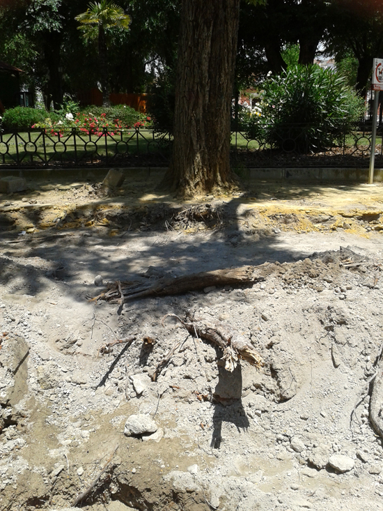 raices02