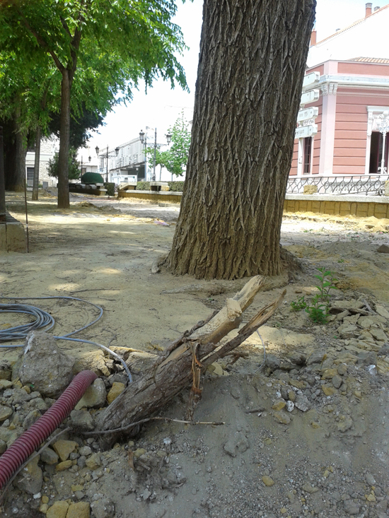 raices04