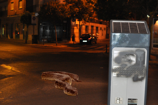 boaparquimetros