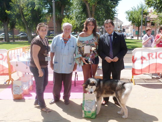 daimiel_concursocanino