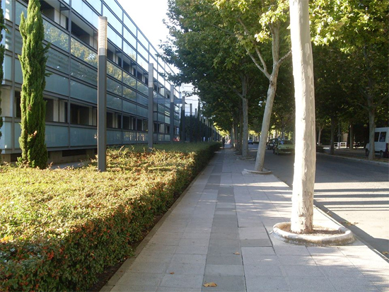 Campus universitario