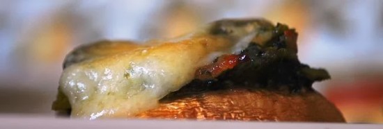 champisrellenos02