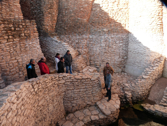 daimiel_motilla-del-azuer
