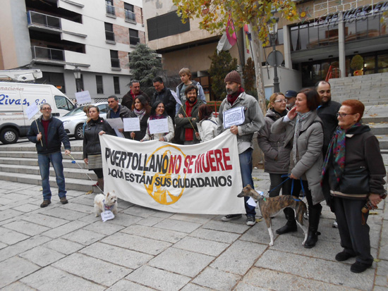 puerto_plataforma_perros03